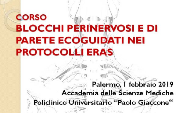 BLOCCHI PERINERVOSI E DI PARETE ECOGUIDATI NEI PROTOCOLLI ERAS - dias-2_P.jpg